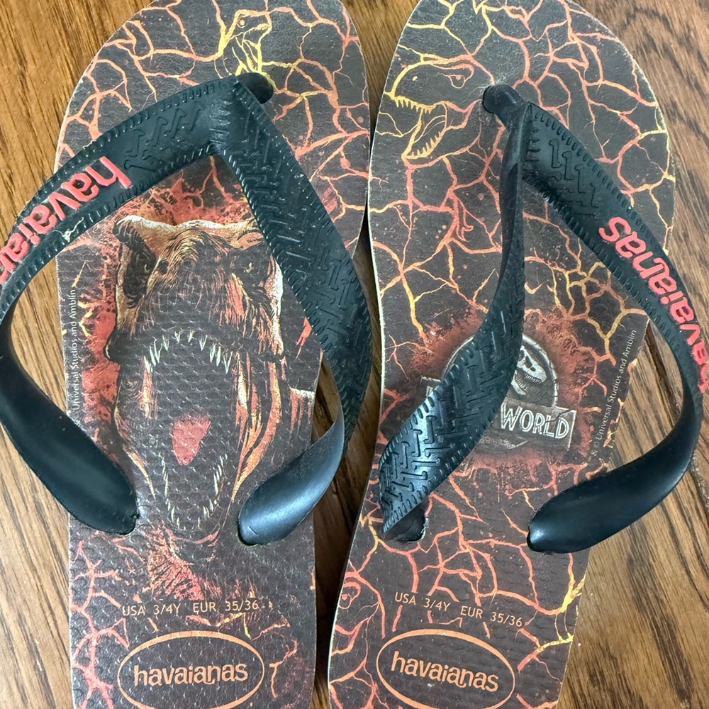 Boys Havaianas Black and Orange Flip Flops, 3/4Y
